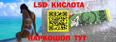 спиды Кингисепп