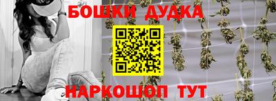 спиды Кингисепп