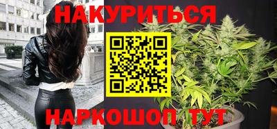 спиды Кингисепп
