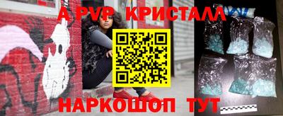 спиды Кингисепп
