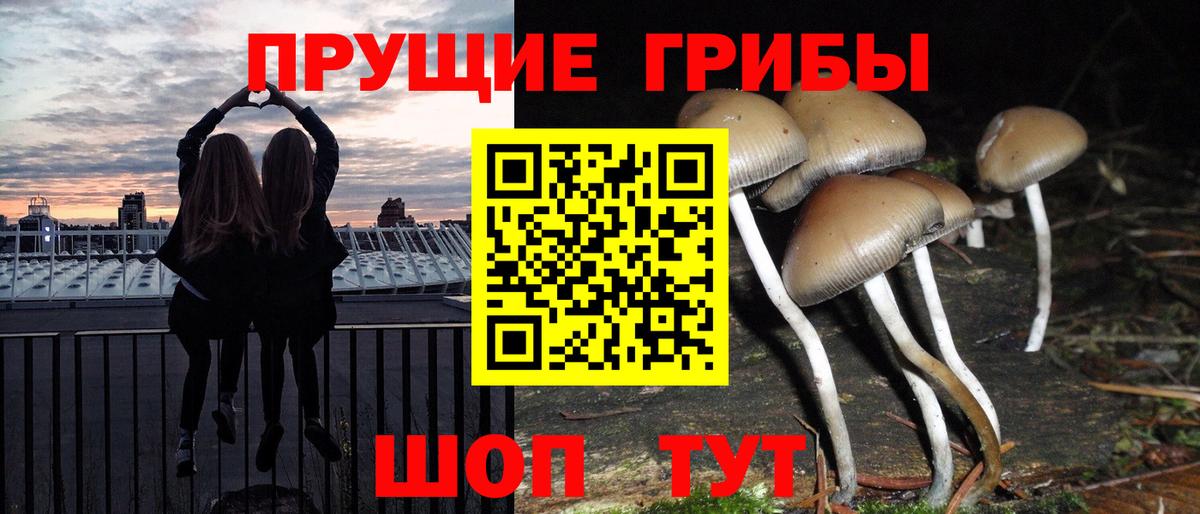 Галлюциногенные грибы Cubensis  Вход с VPN  Железногорск 
